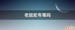 老鼠蛇有毒吗