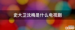 史大卫沈梅是什么电视剧