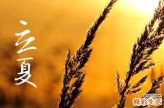 立夏要吃什么特殊的食物 立夏的来历