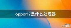 oppor17是什么处理器