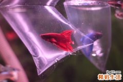 4 电脑族不宜久坐 超过四小时易致命