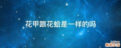 花甲跟花蛤是一样的吗
