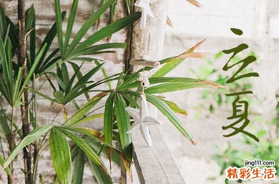 2023年什么时候进入夏天 2023年立夏具体时间是几月几号