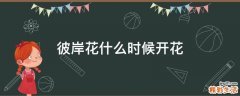 彼岸花什么时候开花
