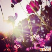 晚上睡着了为什么会出冷汗