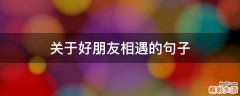 关于好朋友相遇的句子