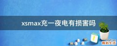 xsmax充一夜电有损害吗