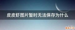 皮皮虾图片暂时无法保存为什么