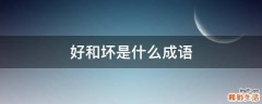 好和坏是什么成语