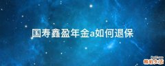 国寿鑫盈年金a如何退保
