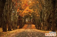 7 高清图片：5倍放大女人深藏处女膜