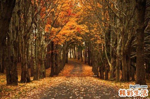 7 高清图片:5倍放大女人深藏处女膜