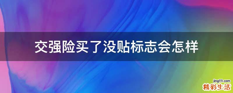 交强险买了没贴标志会怎样