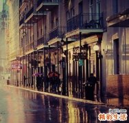 3 吹云草