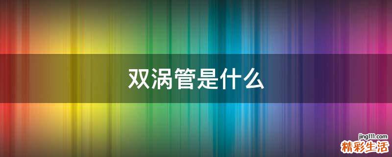 双涡管是什么