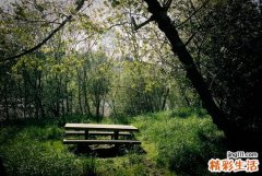 5 6个小技巧助你缓解眼睛疼