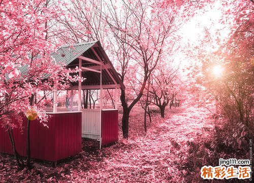 带你认识什么是隐性梅毒