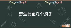 野生鲶鱼几个须子