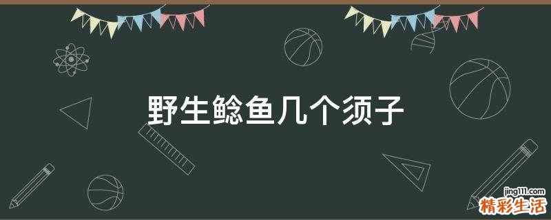 野生鲶鱼几个须子
