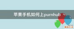 苹果手机如何上purnhub