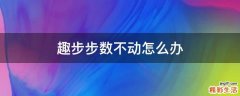 趣步步数不动怎么办