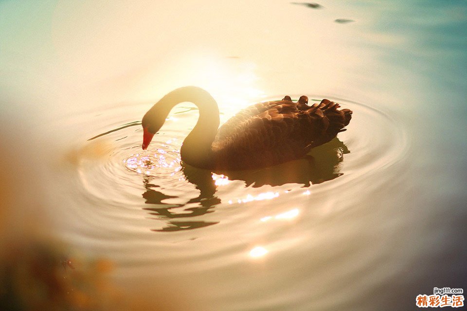 腰疼是糖尿病吗