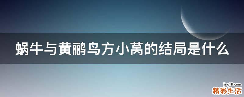 蜗牛与黄鹂鸟方小莴的结局是什么