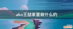 ako王喆家里做什么的