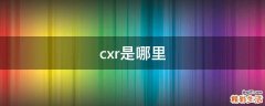 cxr是哪里