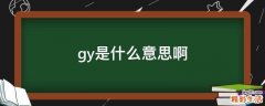 gy是什么意思啊