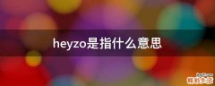 heyzo是指什么意思