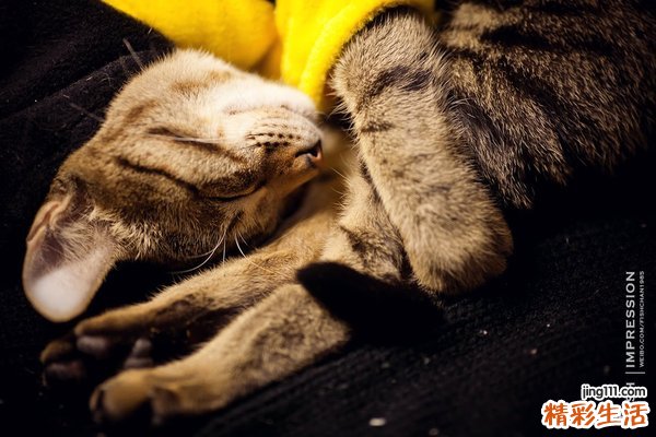 垂体瘤引发男性不育