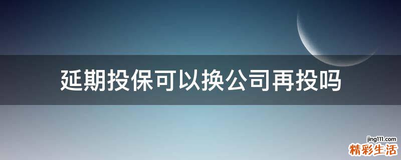延期投保可以换公司再投吗