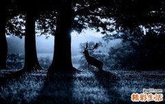 造成女性闭经的4个原因