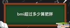 bmi超过多少算肥胖
