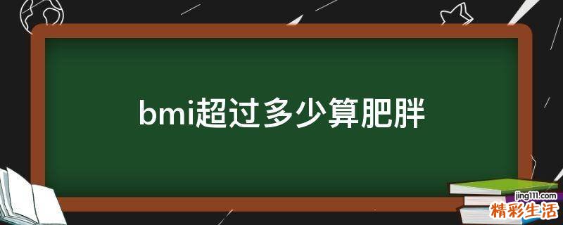 bmi超过多少算肥胖
