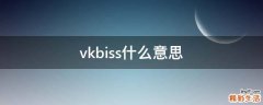 vkbiss什么意思