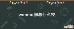 wdnmd闸总什么梗