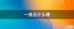 一挑五什么梗