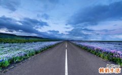 血清胰岛素偏高有什么影响