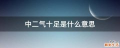 中二气十足是什么意思
