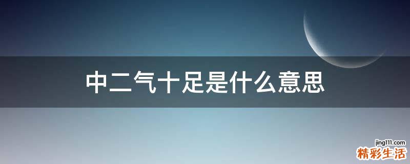 中二气十足是什么意思