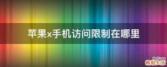 苹果x手机访问限制在哪里