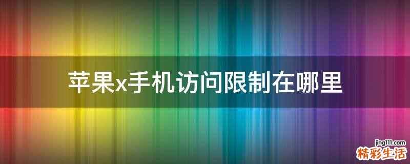 苹果x手机访问限制在哪里