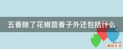 五香除了花椒茴香子外还包括什么