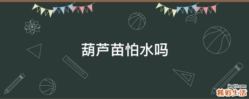 葫芦苗怕水吗