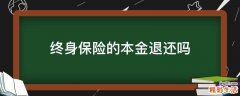 终身保险的本金退还吗