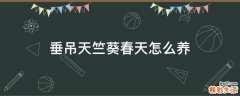 垂吊天竺葵春天怎么养