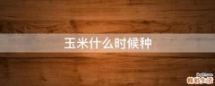 玉米什么时候种