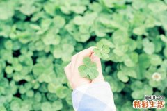 儿童易中铅毒揭密